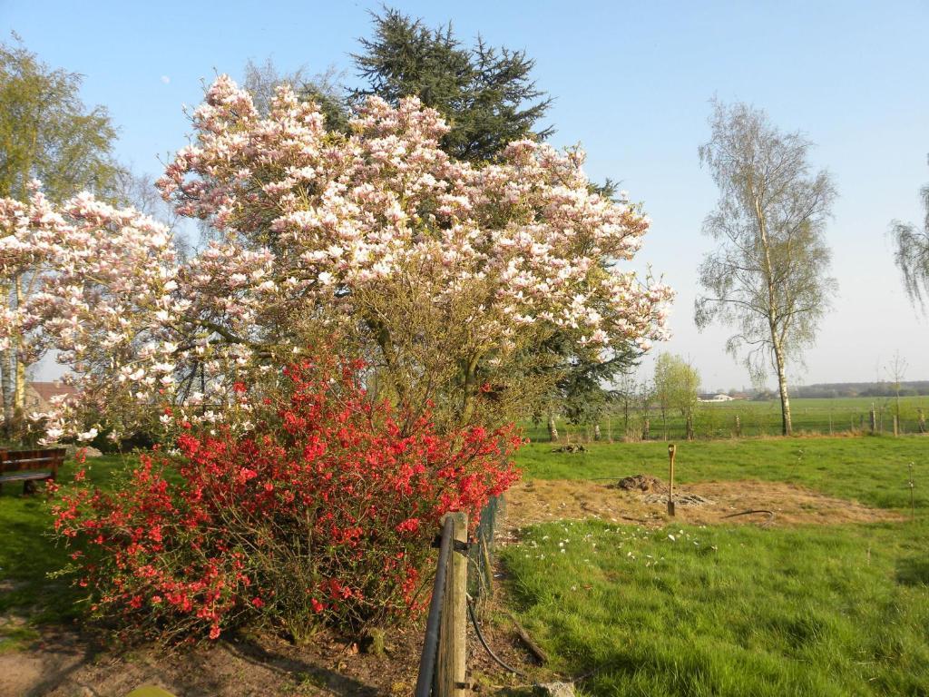 B&B Artiriacumhoeve Zedelgem Exterior photo